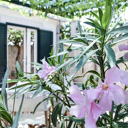 Apartamento Gracin - One Bedroom With Terrace A1 Povlja (Brac)