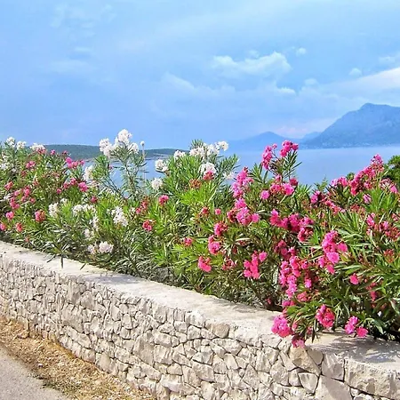 Gracin - One Bedroom With Terrace A1 * Povlja (Brac)