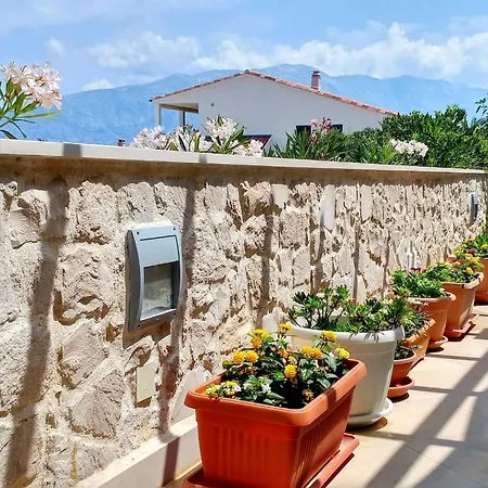 Gracin - One Bedroom With Terrace A1 * Povlja (Brac)